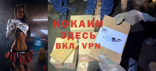 гашик Аркадак