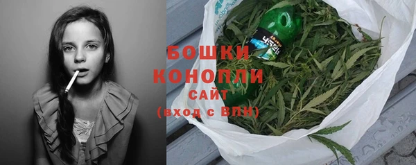 гашик Аркадак