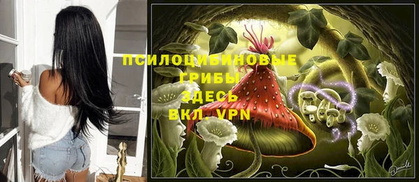 сатива Нея