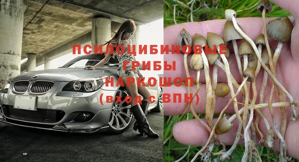 ECSTASY Армянск