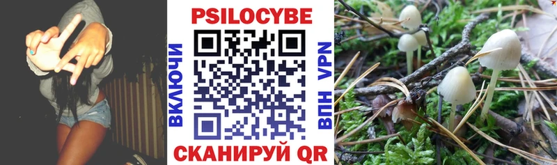 Псилоцибиновые грибы GOLDEN TEACHER  купить наркоту  KRAKEN зеркало  Скопин 